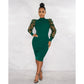 Mesh Sleeves High ollar Dress
