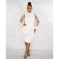 Mesh Sleeves High ollar Dress
