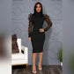 Mesh Sleeves High ollar Dress
