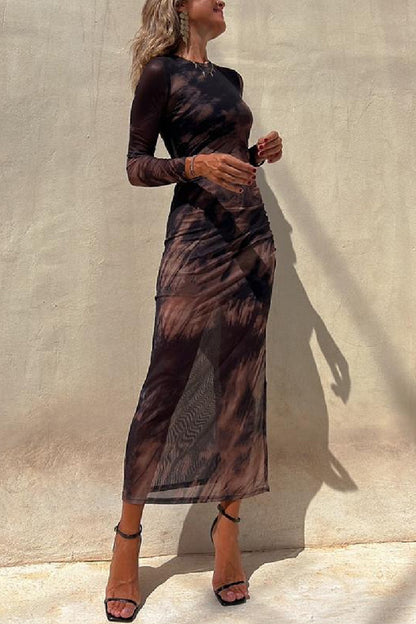 Mesh Printed Fitted Stretch Long Sleeve Dress