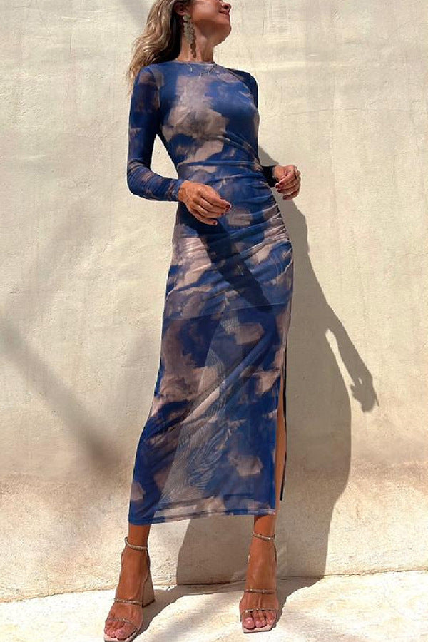 Mesh Printed Fitted Stretch Long Sleeve Dress