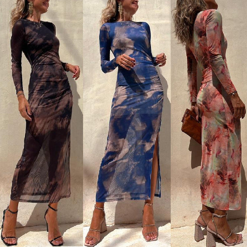 Mesh Printed Fitted Stretch Long Sleeve Dress